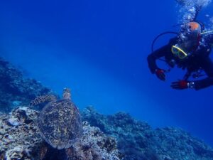 2024.07.18　慶良間ボート　ファンダイビング