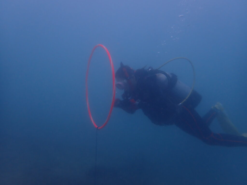 2025.11.18　奥武島ビーチ　AOWコース＆付き添いファン