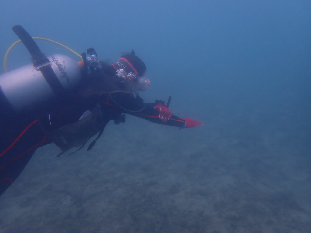 2025.11.18　奥武島ビーチ　AOWコース＆付き添いファン