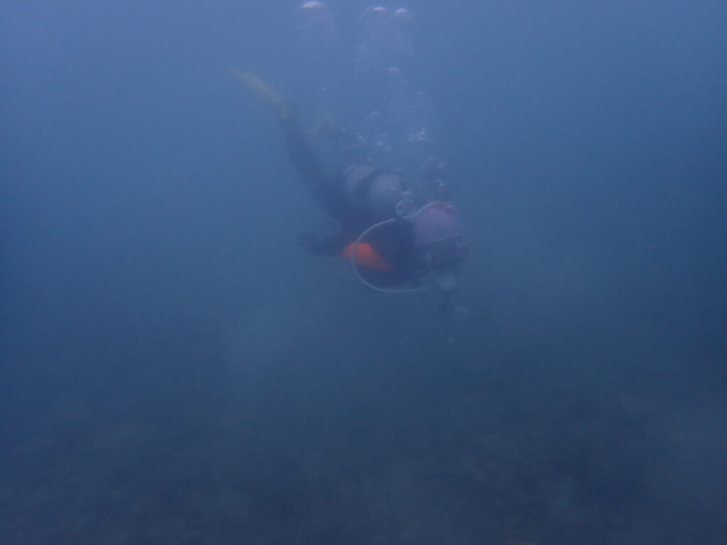 2025.11.18　奥武島ビーチ　AOWコース＆付き添いファン