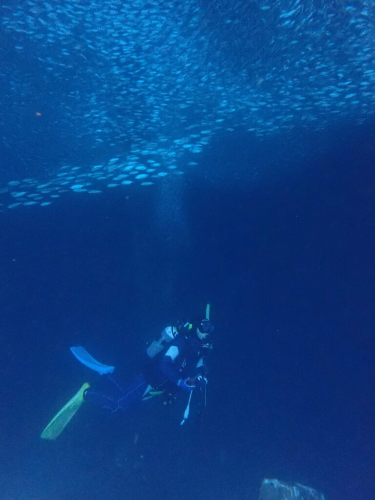 2025.12.04　崎本部ビーチ　ファンダイビング