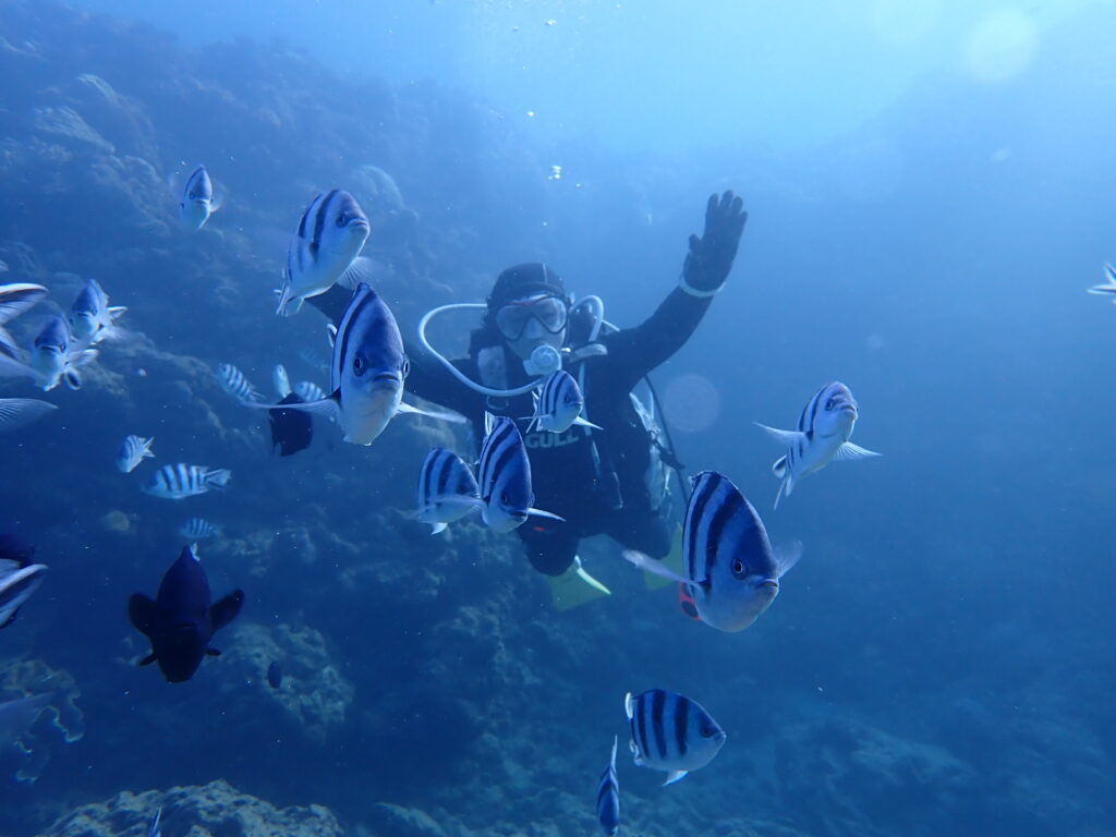 2026.01.05　砂辺ビーチ　ファンダイビング