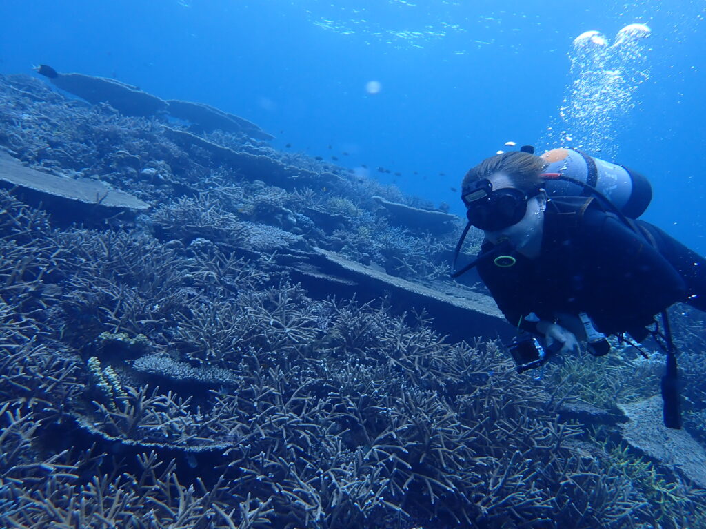 2026.01.12　慶良間ボート　ファンダイビング