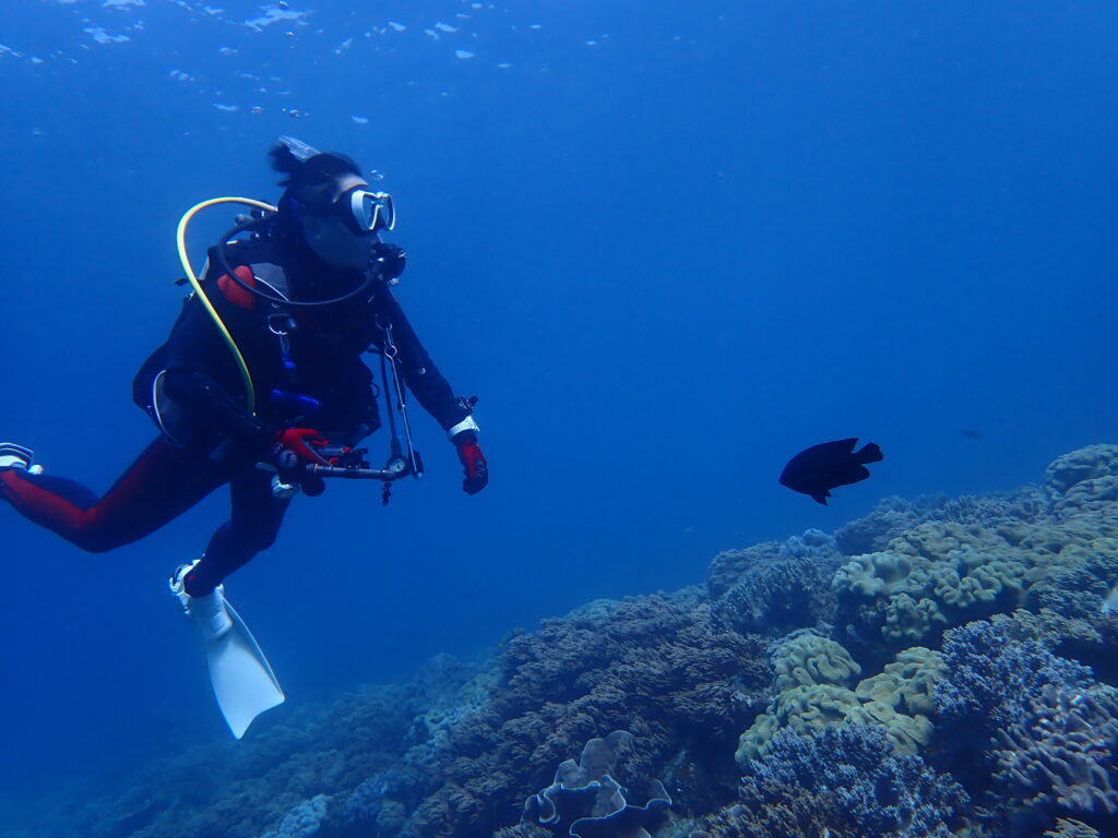 2026.03.11　砂辺ビーチ　ファンダイビング