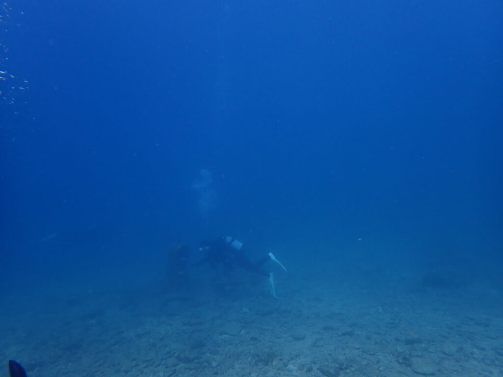 2025.10.06　砂辺ビーチ　ファンダイビング