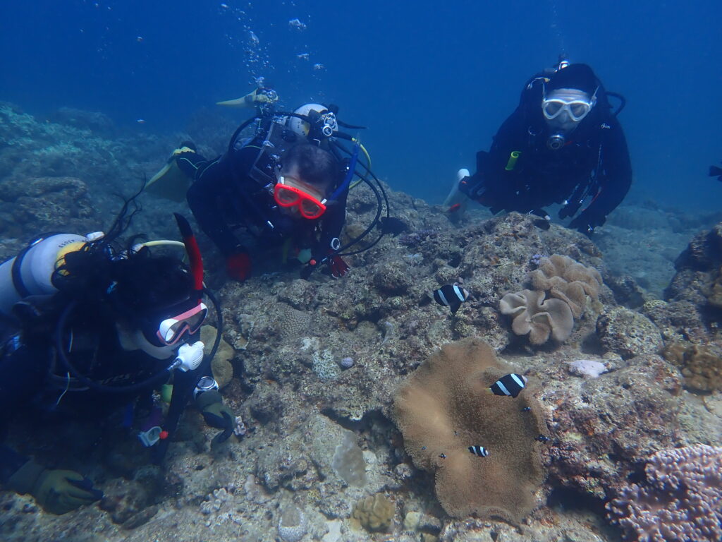 2025.10.06　砂辺ビーチ　ファンダイビング