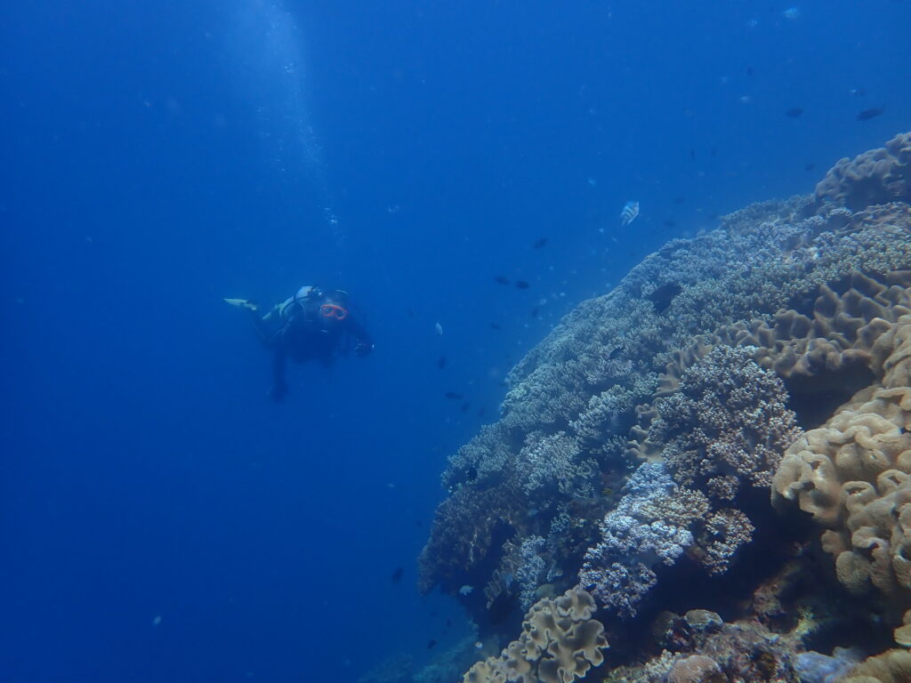 2025.10.06　砂辺ビーチ　ファンダイビング