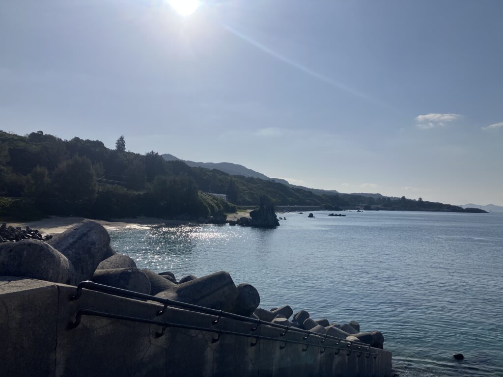 2026.02.19　崎本部ビーチ　ファンダイビング